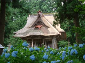 かねたんと行く!笹野観音